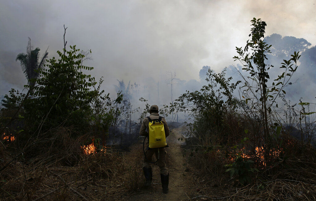 Brazil Amazon Fires